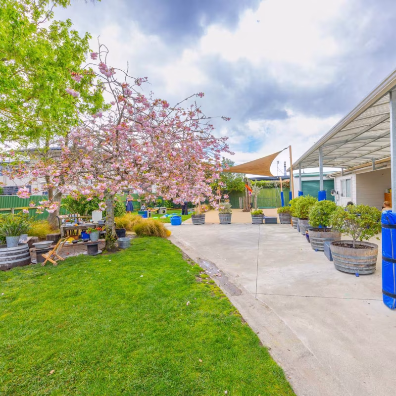 Taradale East Kindergarten-12