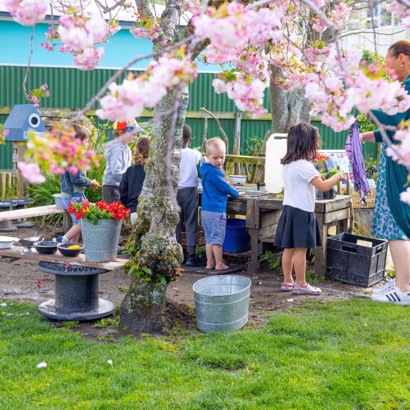 Taradale East Kindergarten-4