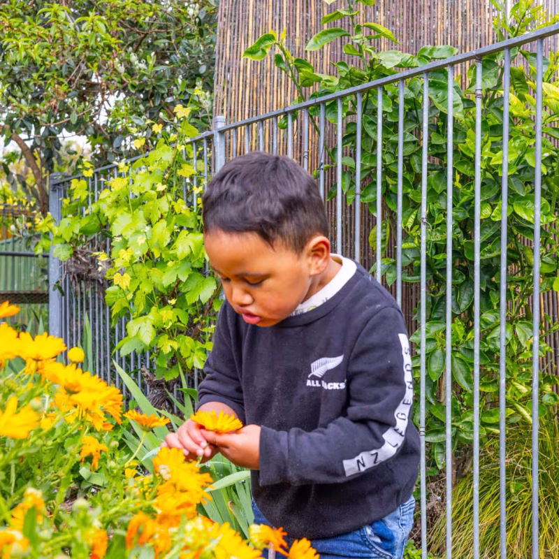 Taradale East Kindergarten-6