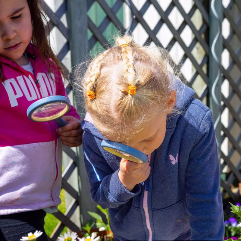 Taradale Kindergarten-3