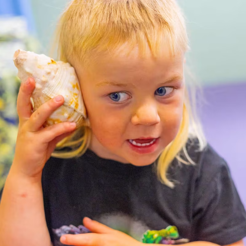 Te Awanga Kindergarten022