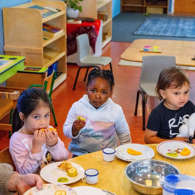 Wairoa Kindergarten035